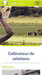 Mobile Screenshot of callivoire.com